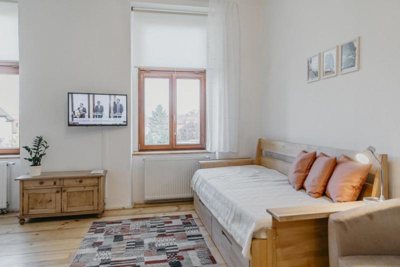 3, Suvorovova 158 Apartment Cesky Brod